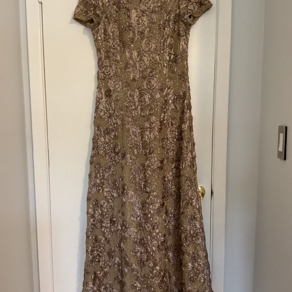 Alex Evenings Gown - Picture 5 of 8